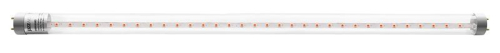 Лампа светодиодная PLED T8-900 PPG Agro 12Вт G13 CL для растений JazzWay 5037410