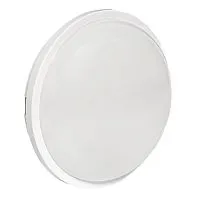 Светильник светодиодный ЖКХ круг ДПО-2009 12Вт 6500К IP65 PROxima EKF BKL-2009-R-12-6500